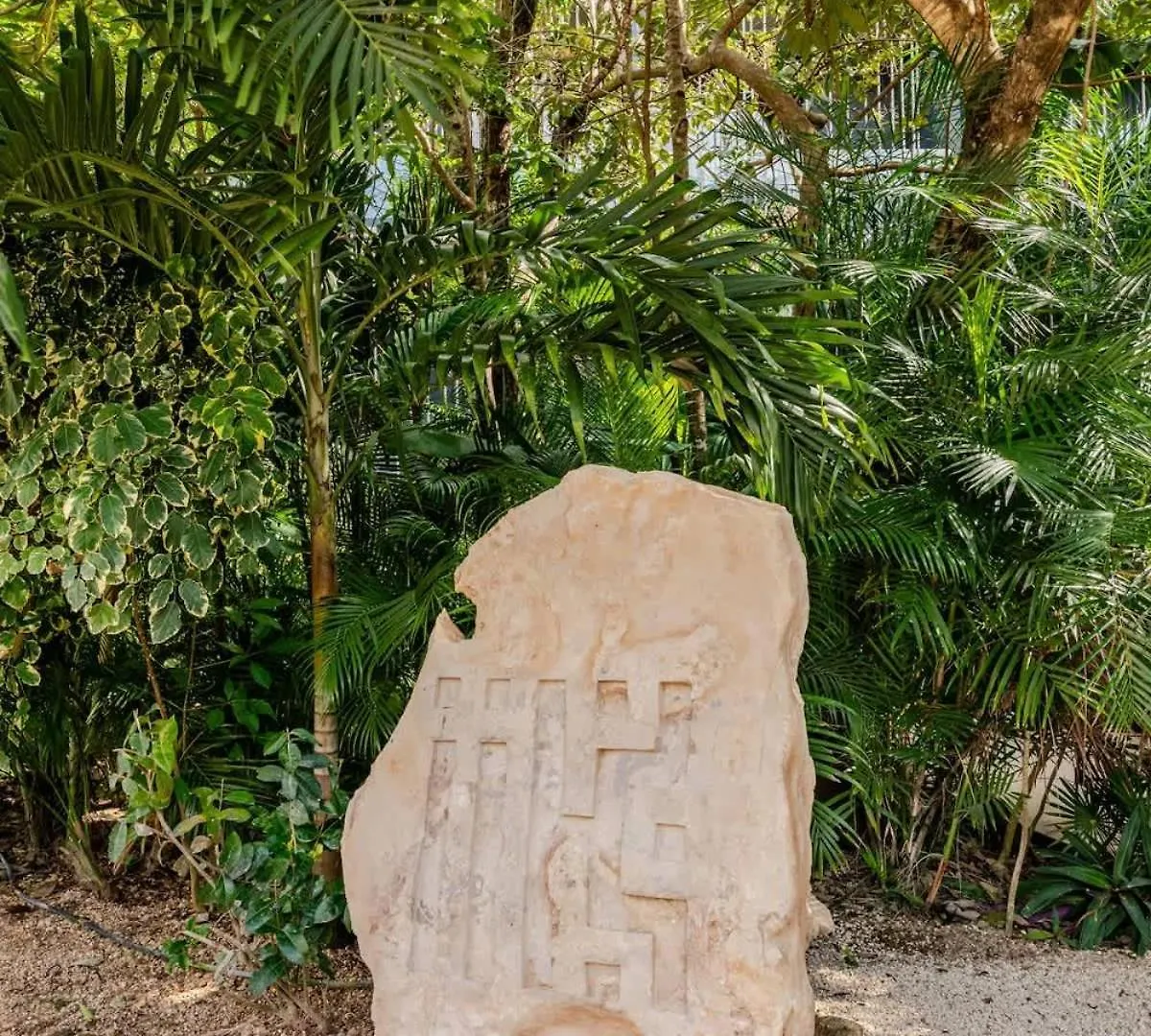 Apartamento Estudio En Av. Coba Para 4 Personas Tulum